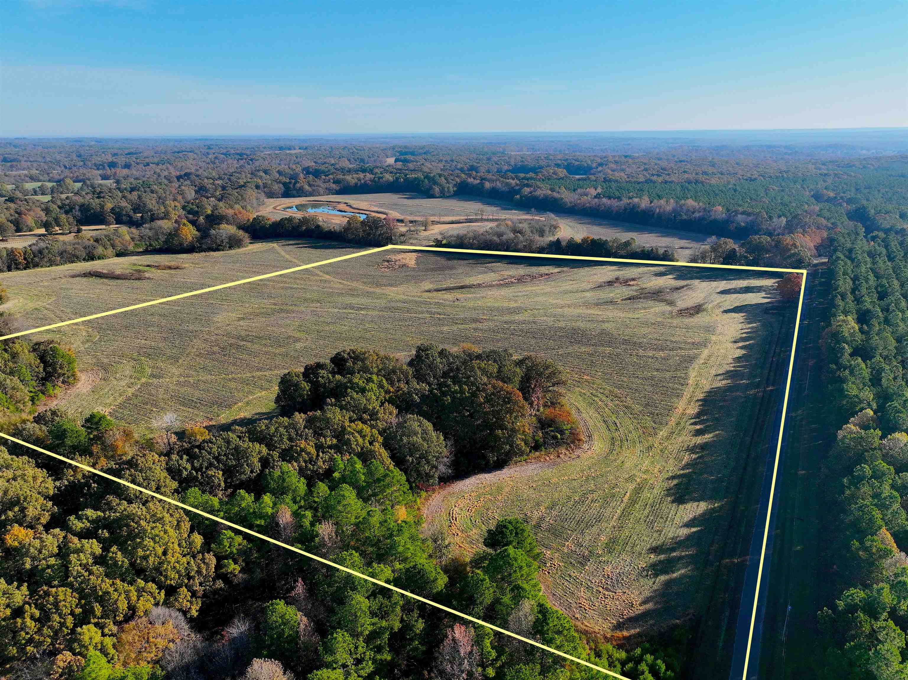 295 West Fork Road Grand Junction, TN 38039 - Photo 10 of 12 an aerial view of a house with a yard