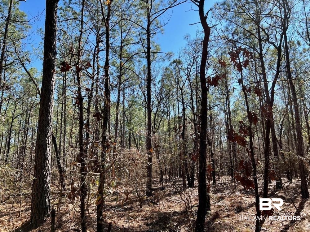 0 Country Road Deer Park, AL 36529 - Photo 34 of 46