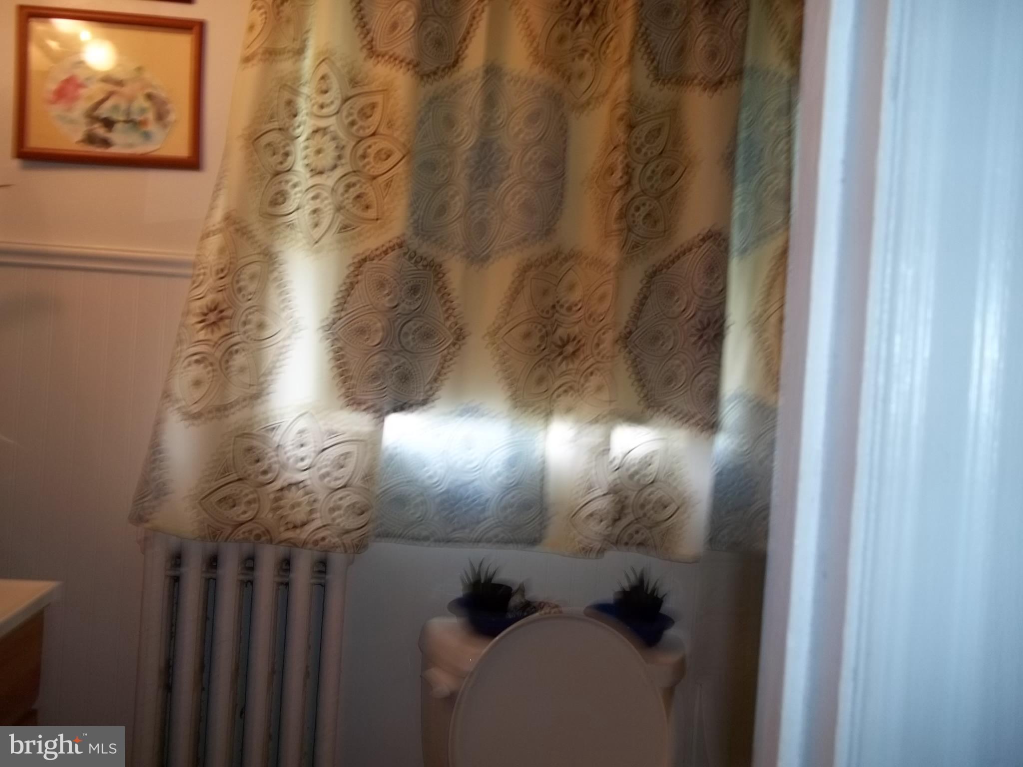 100 West Elbon Road Brookhaven, PA 19015 - Photo 11 of 16 Bathroom
