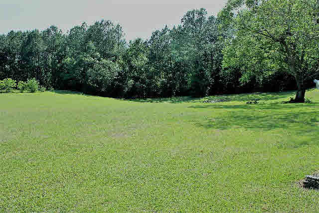 12836 Anna's Way Stapleton, AL 36578 - Photo 34 of 43 Pond Site