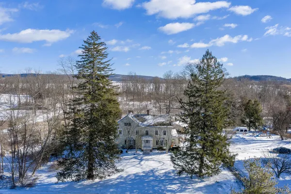 a view of a city with flower plants and large trees