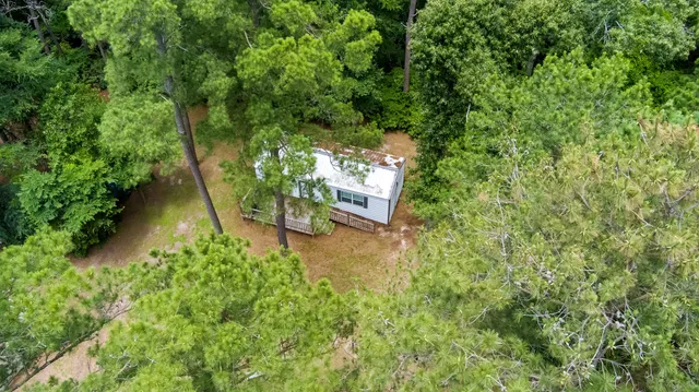 a view of a yard with plants