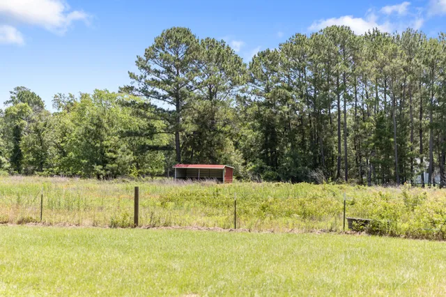 a view of a yard with large trees