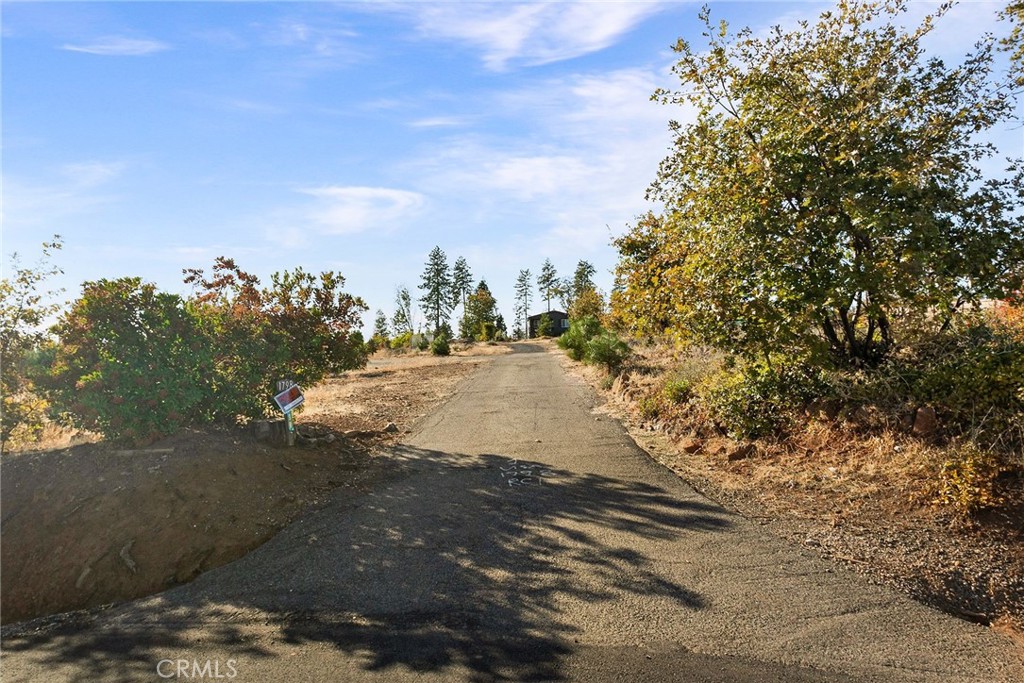 1798 Stearns Road Paradise, CA 95969 - Photo 33 of 39 a view of a yard with a tree