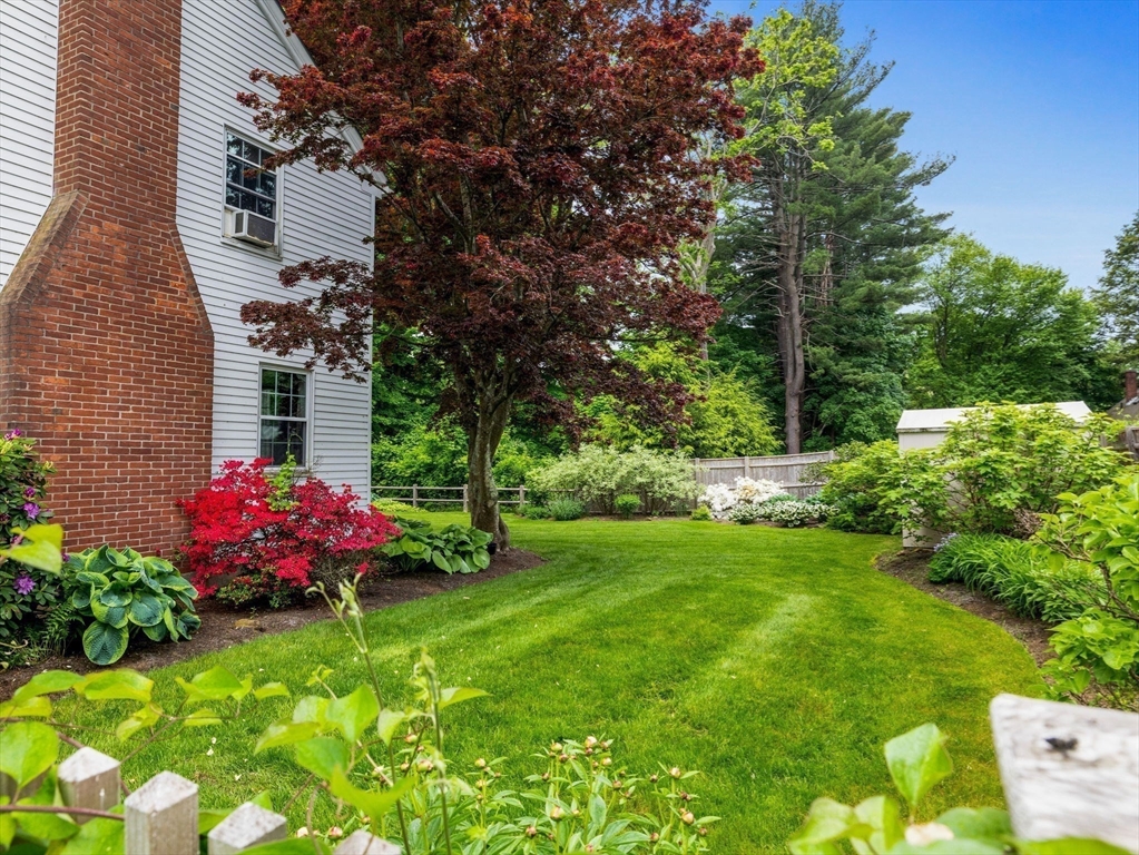 35 Winter Street Framingham, MA 01702 - Photo 19 of 22 a view of a flower in a garden