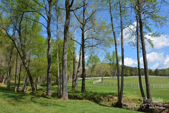 a view of a park with large trees