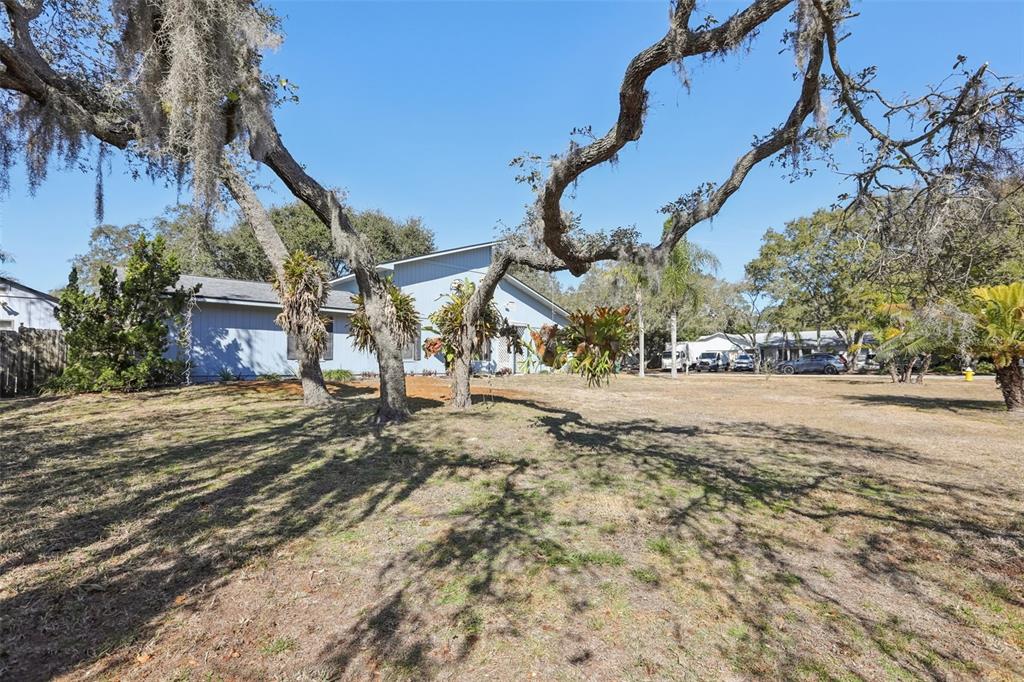 1797 Rambling Ridge Court Palm Harbor, FL 34683 - Photo 31 of 33