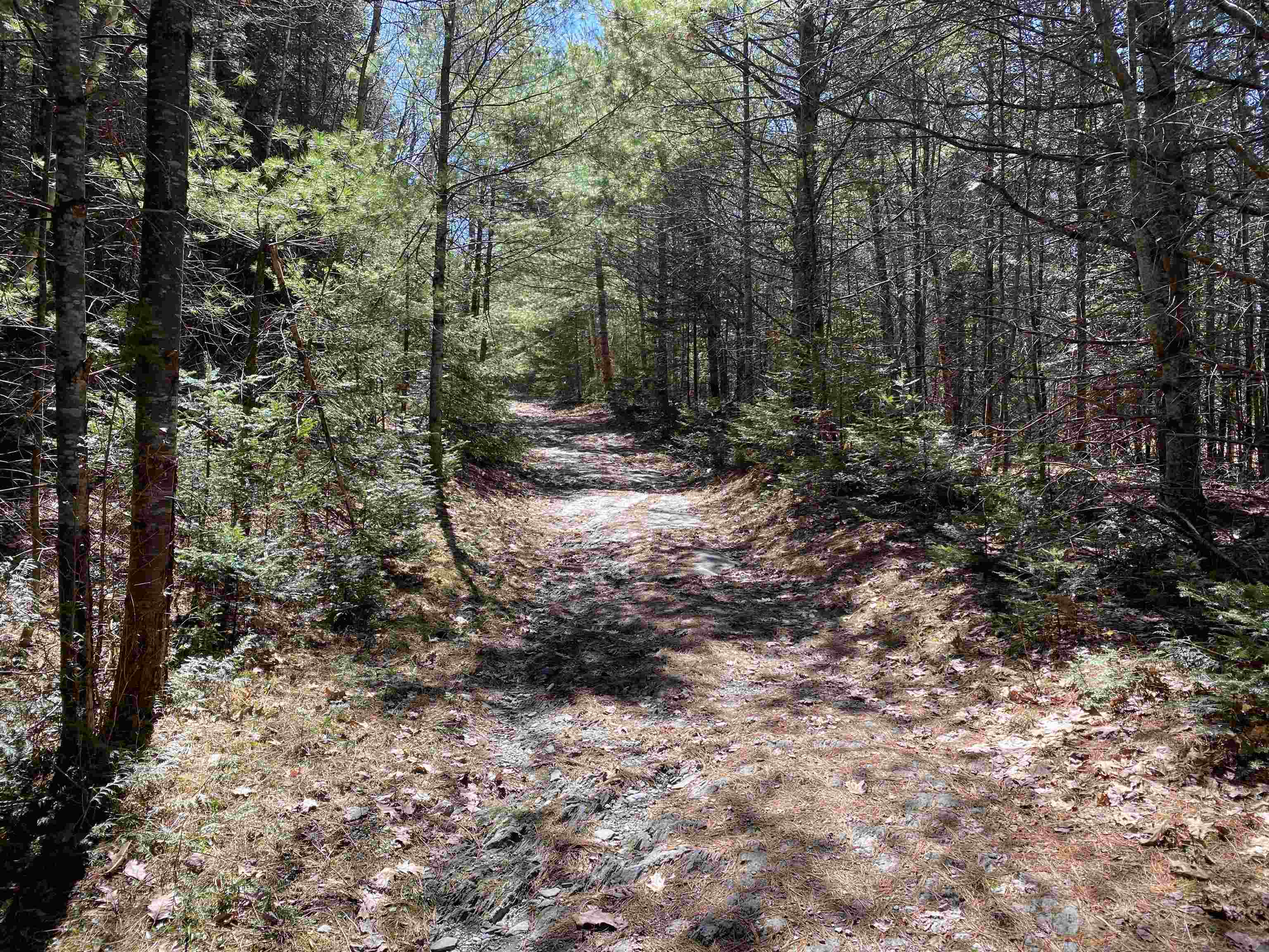 Mace Road South Ryegate, VT 05069 - Photo 2 of 7