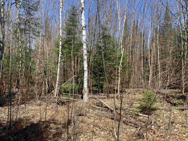 $249,900 | Mace Road, South Ryegate, VT 05069