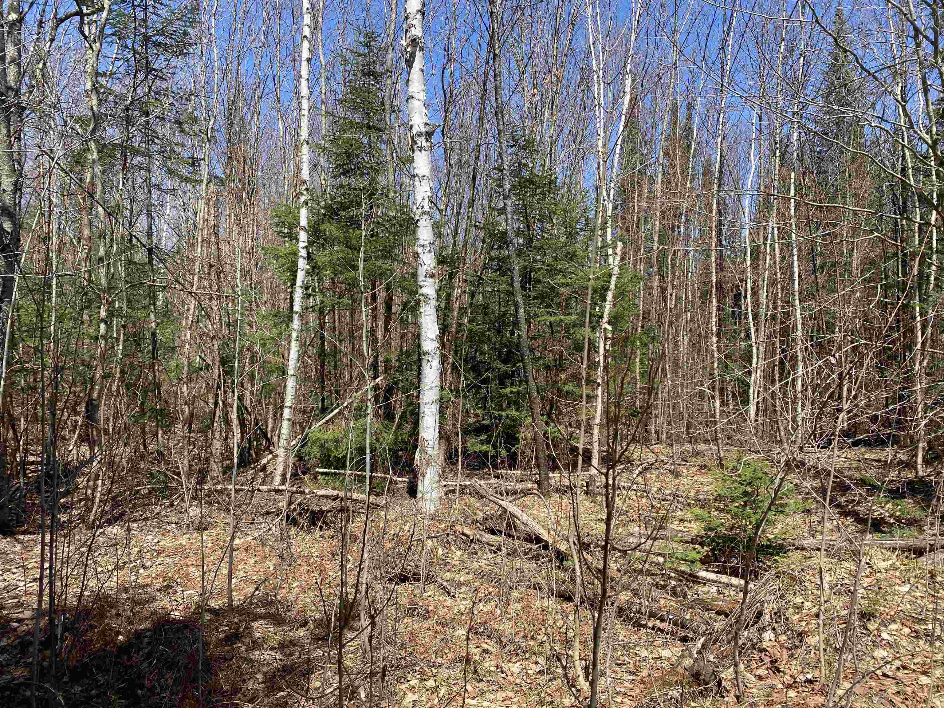 Mace Road South Ryegate, VT 05069 - Photo 3 of 7