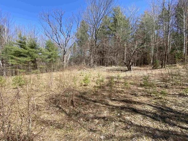 $249,900 | Mace Road, South Ryegate, VT 05069