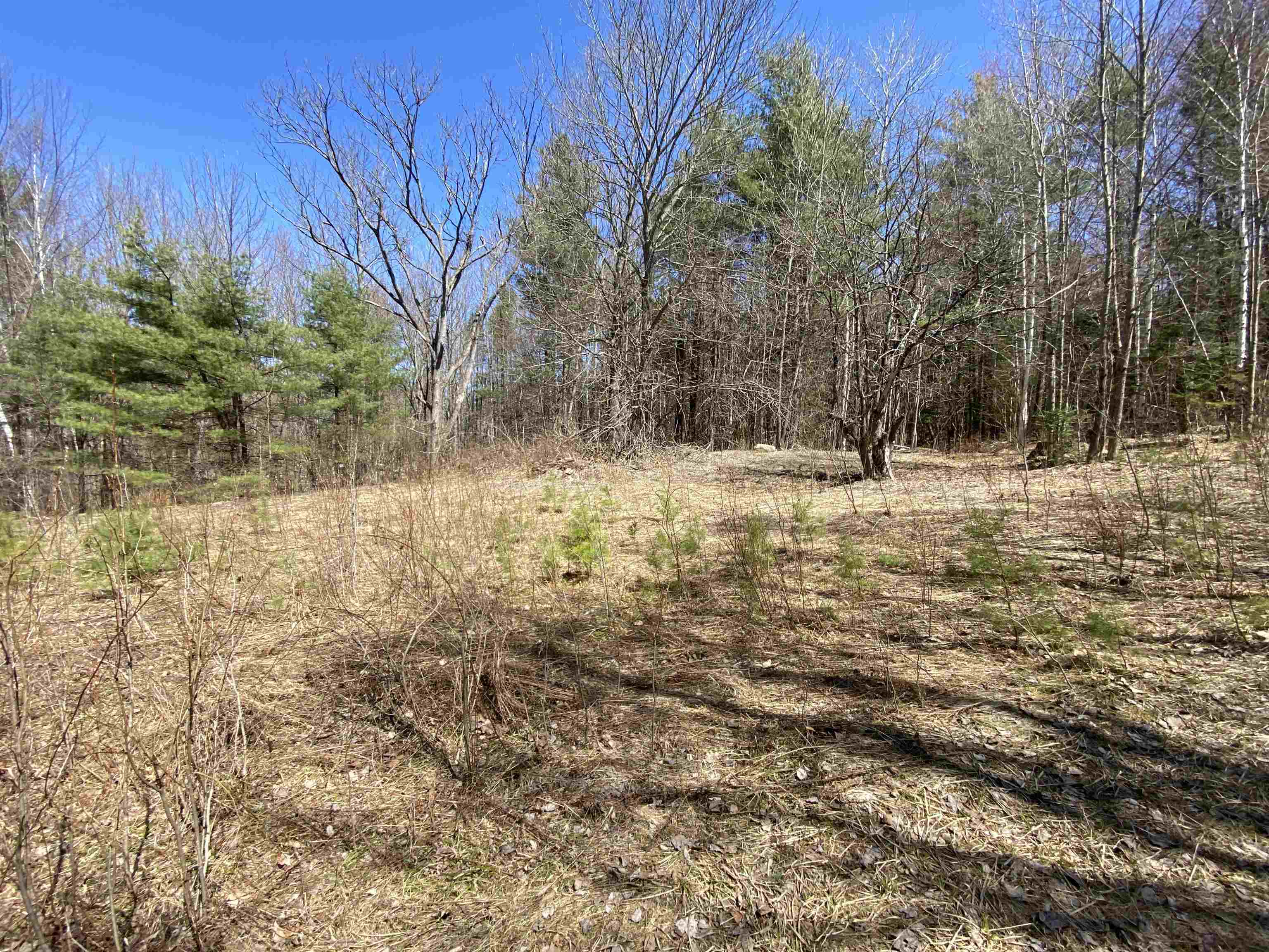 Mace Road South Ryegate, VT 05069 - Photo 4 of 7