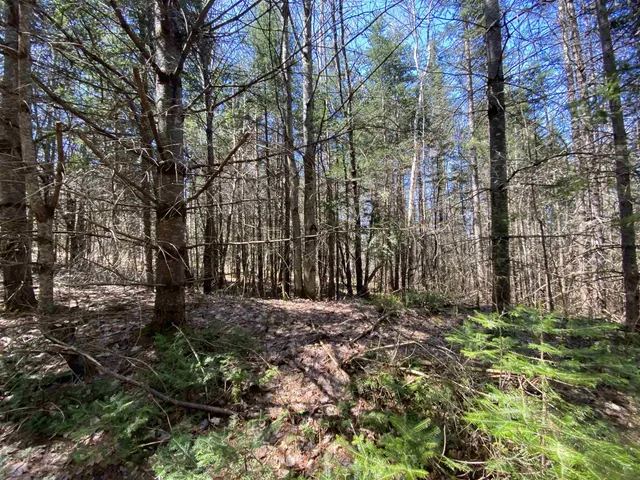 $249,900 | Mace Road, South Ryegate, VT 05069