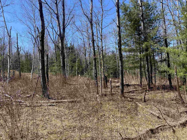 $249,900 | Mace Road, South Ryegate, VT 05069