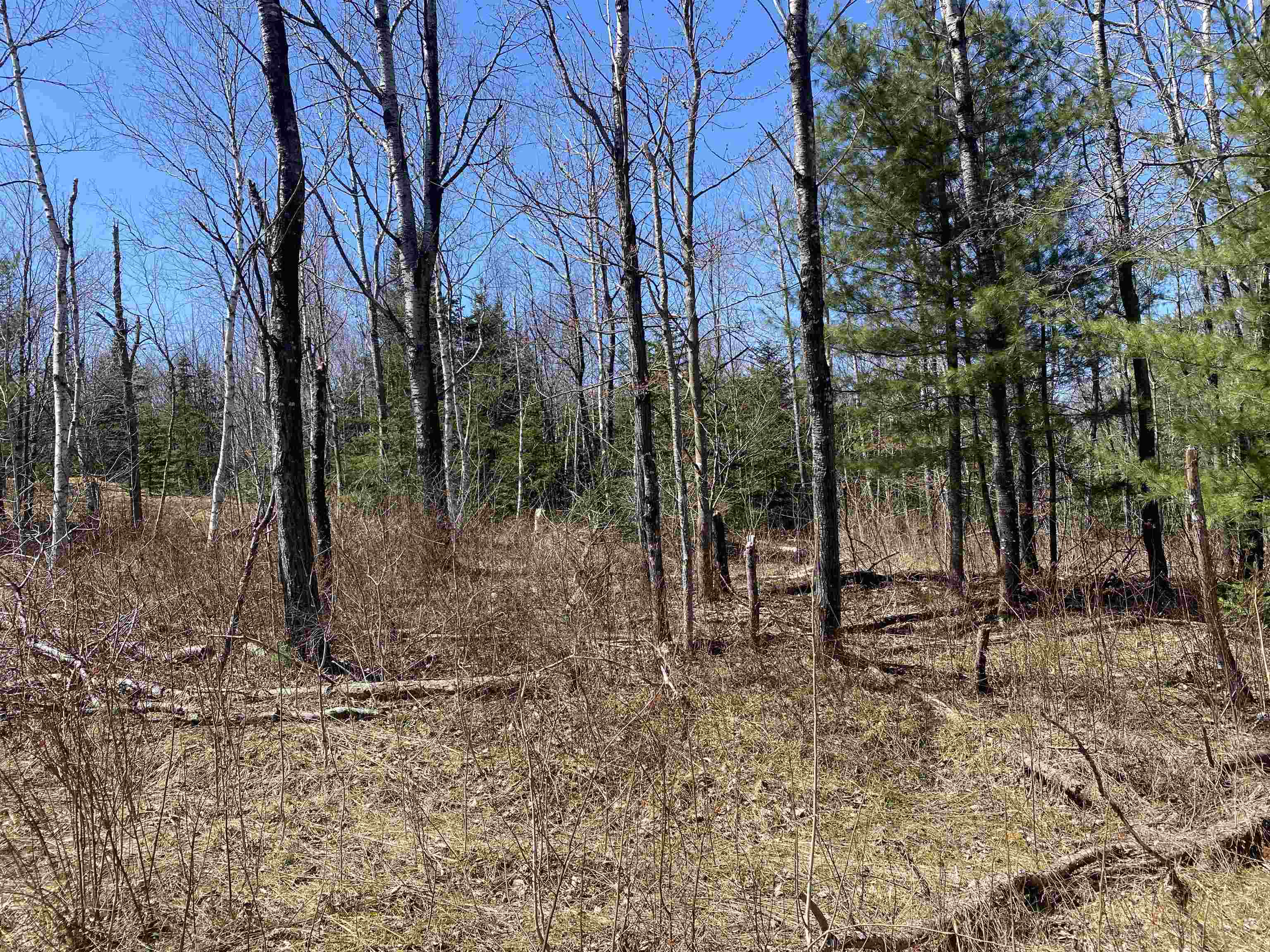 Mace Road South Ryegate, VT 05069 - Photo 6 of 7