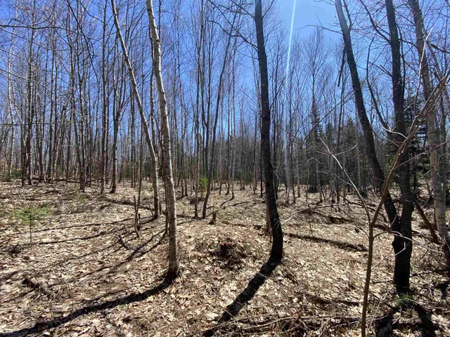 $249,900 | Mace Road, South Ryegate, VT 05069