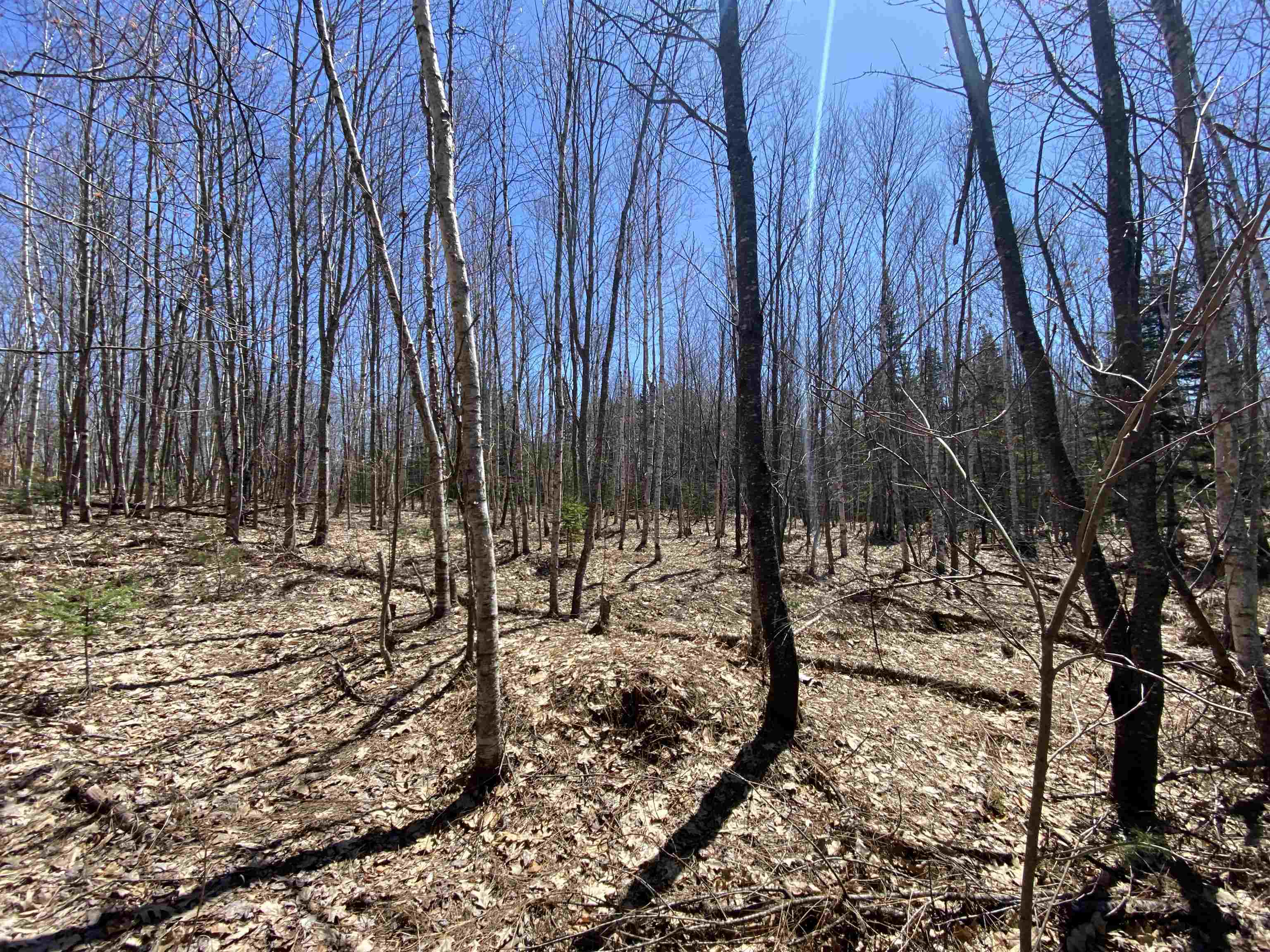 Mace Road South Ryegate, VT 05069 - Photo 7 of 7