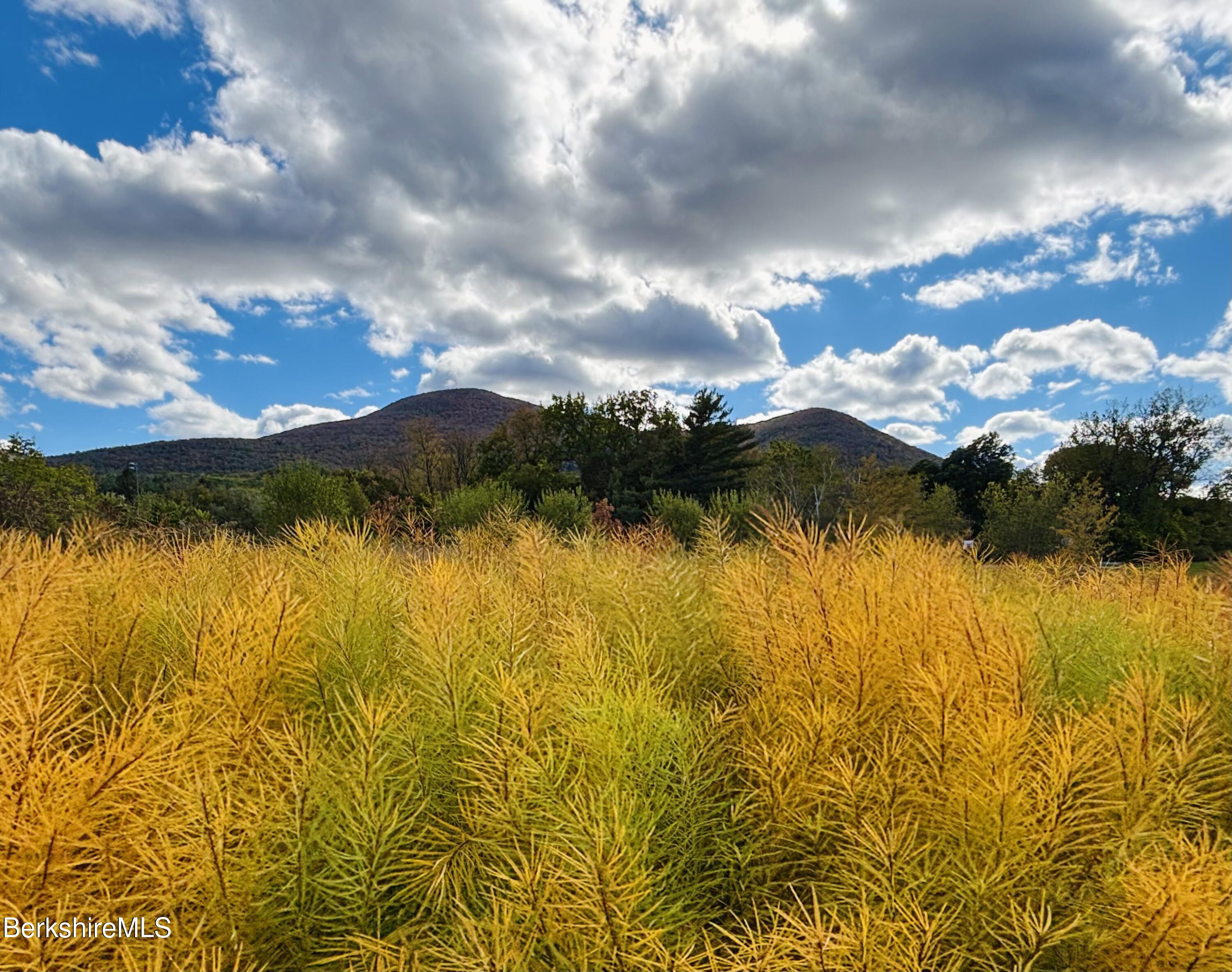 520 State Road, Unit 206 North Adams, MA 01247 - Photo 15 of 16 a view of lake and mountain