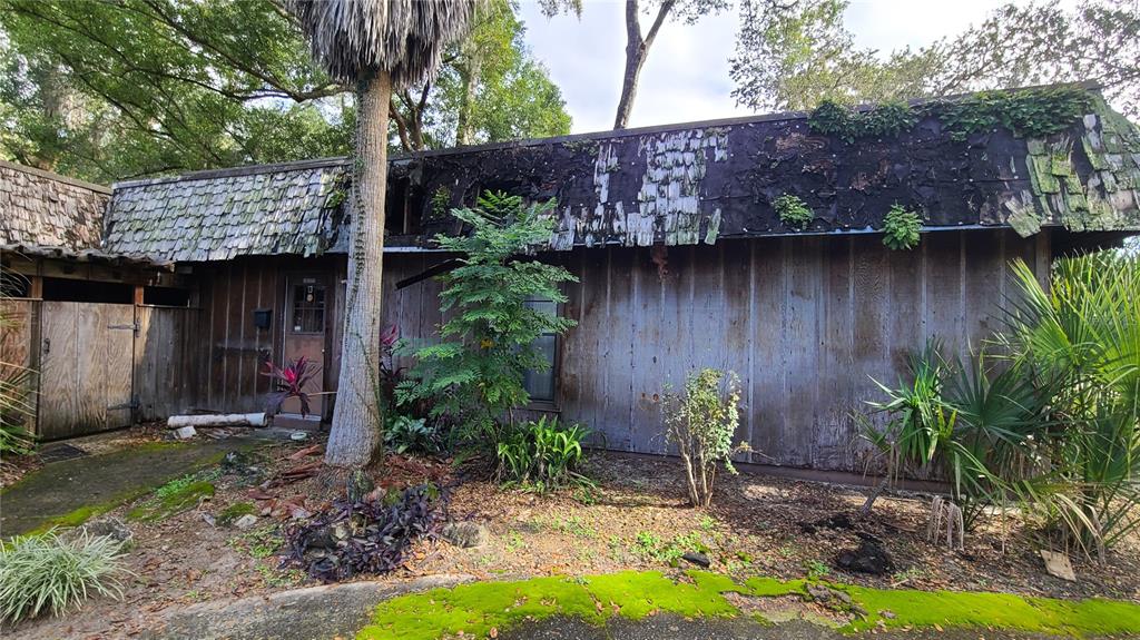 501 Hermits Trail Altamonte Springs, FL 32701 - Photo 48 of 61 a view of a backyard with plants and a large tree
