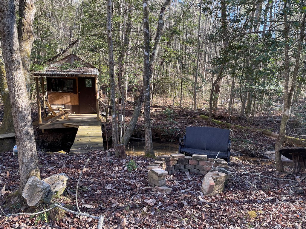 6-7 Idle Lane Blue Ridge, GA 30513 - Photo 2 of 27 Creek and Camping Shack