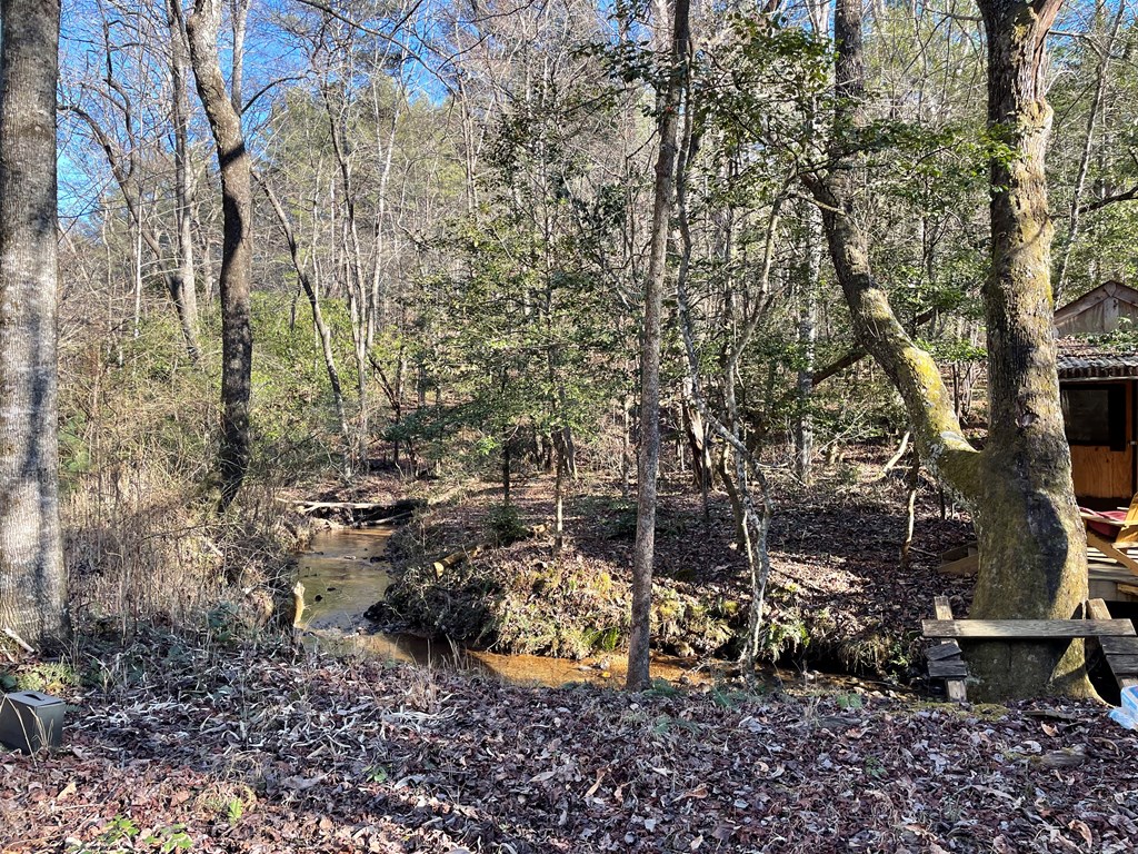 6-7 Idle Lane Blue Ridge, GA 30513 - Photo 3 of 27 Creek and Camping Shack