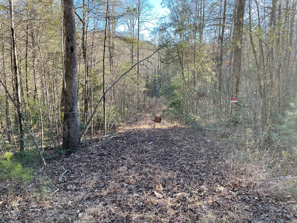 6-7 Idle Lane Blue Ridge, GA 30513 - Photo 4 of 27 Driveway