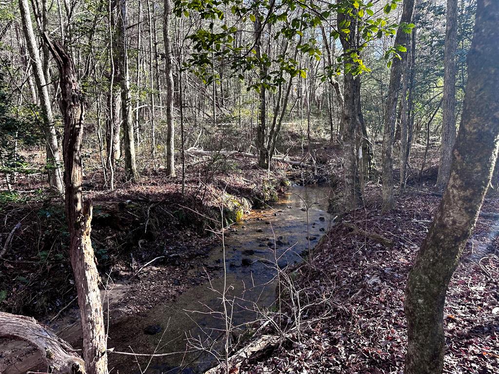 6-7 Idle Lane Blue Ridge, GA 30513 - Photo 5 of 27 Creek