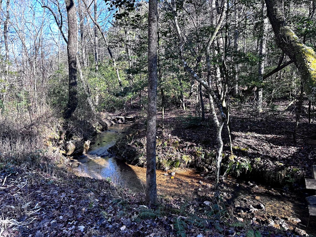 6-7 Idle Lane Blue Ridge, GA 30513 - Photo 6 of 27 Creek