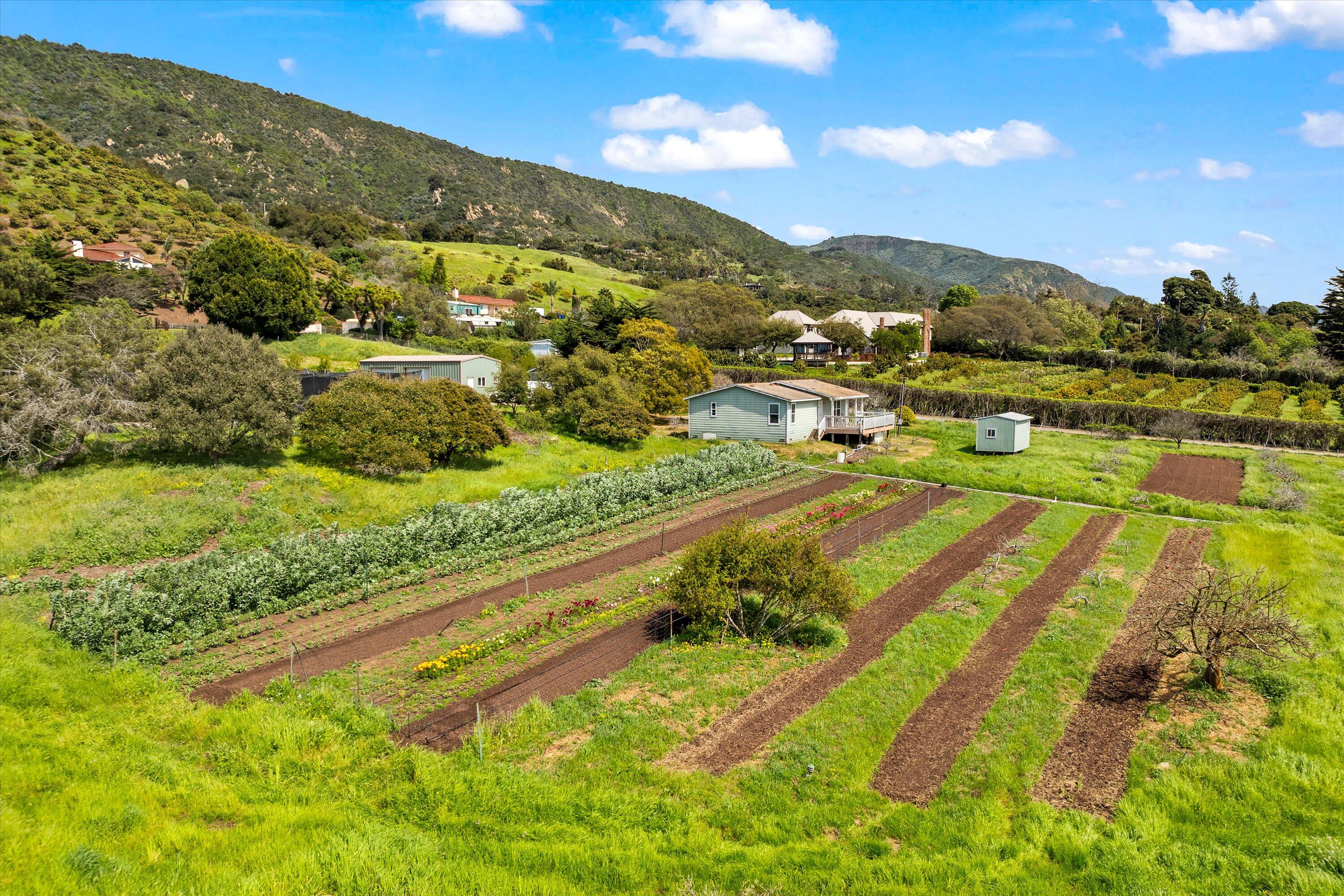 3500 Foothill Road Carpinteria, CA 93013 - Photo 4 of 15 14-DJI_0111