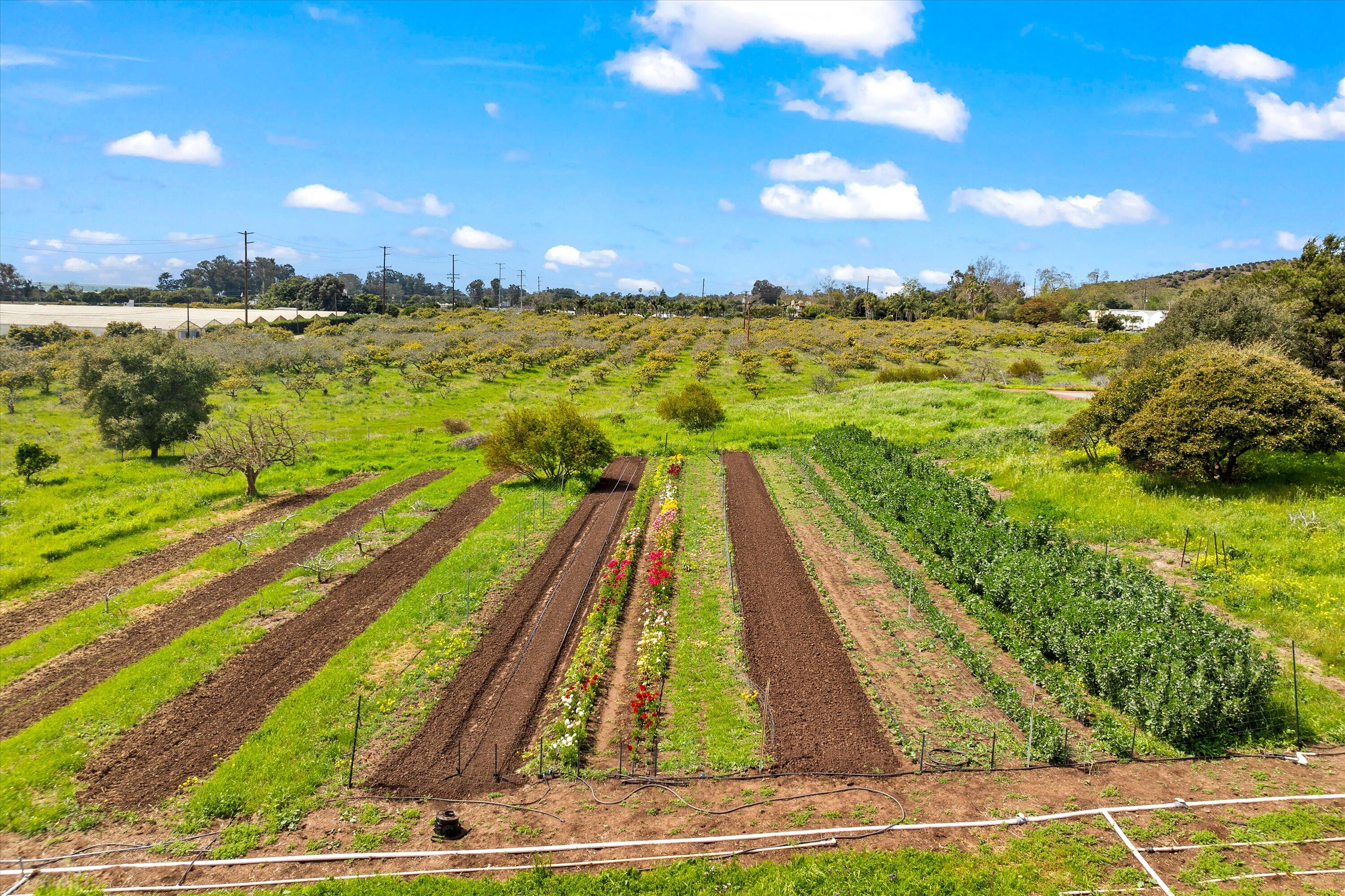 3500 Foothill Road Carpinteria, CA 93013 - Photo 5 of 15 13-DJI_0101