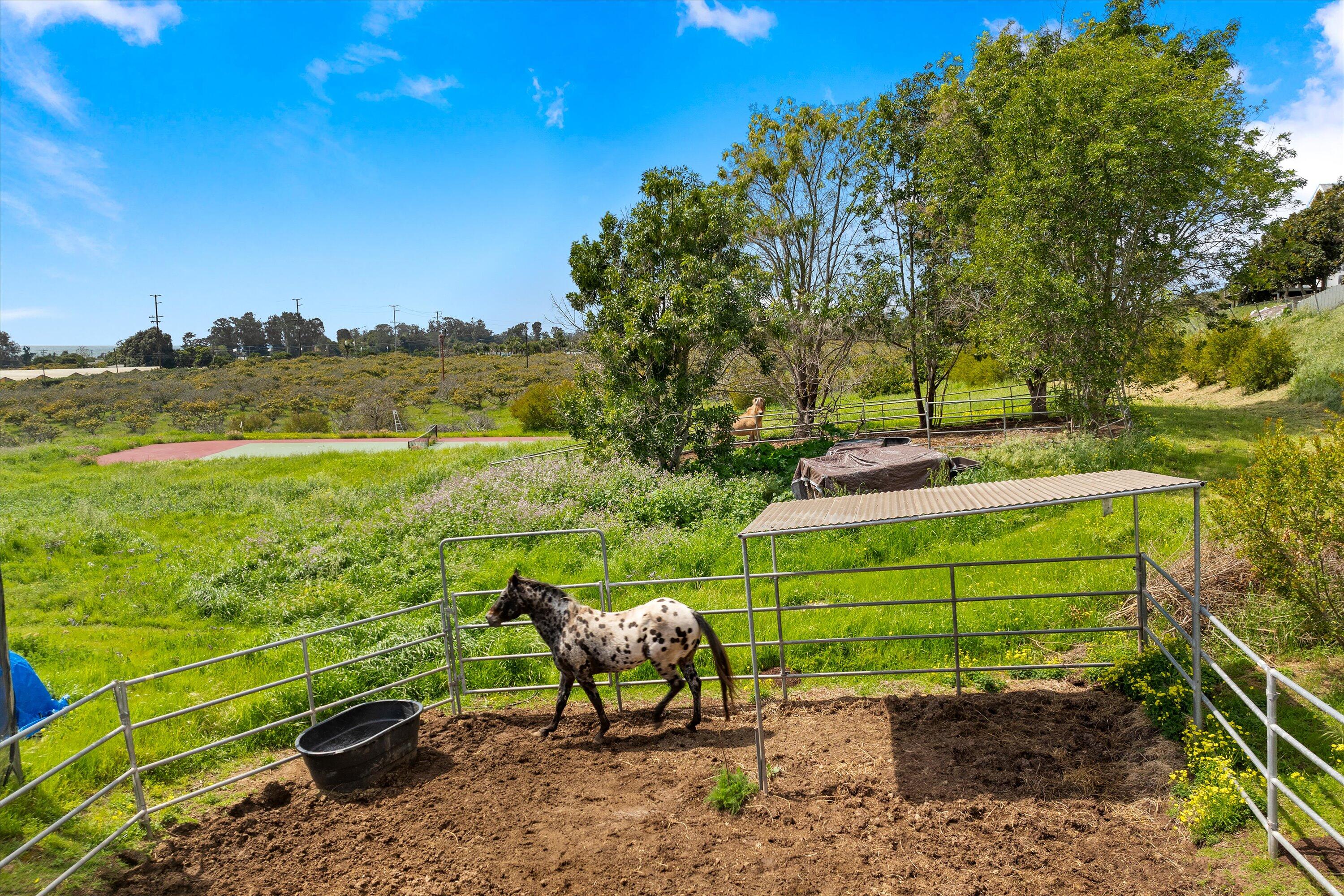 3500 Foothill Road Carpinteria, CA 93013 - Photo 7 of 15 10-DJI_0071