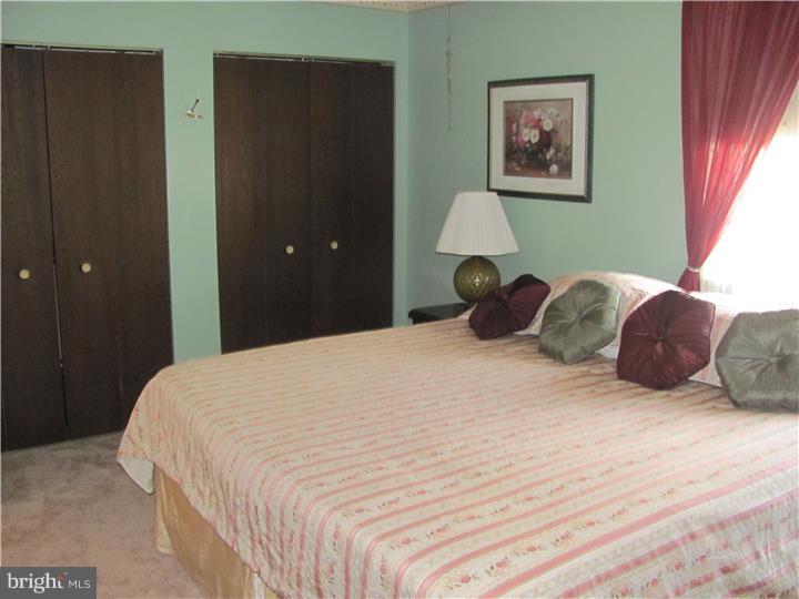 23 Sage Drive Sinking Spring, PA 19608 - Photo 11 of 18 Master Bedroom