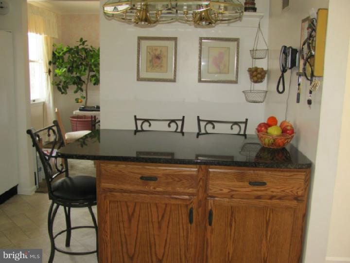 23 Sage Drive Sinking Spring, PA 19608 - Photo 4 of 18 Kitchen
