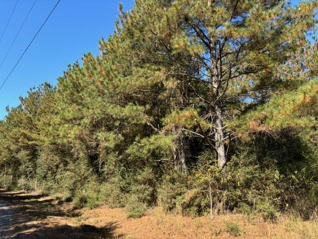 Tbd Tommy Rushing Road Tylertown, MS 39667 - Photo 1 of 15 Main View