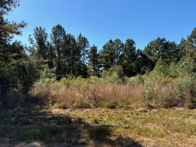 Tbd Tommy Rushing Road Tylertown, MS 39667 - Photo 3 of 15 Photo 3