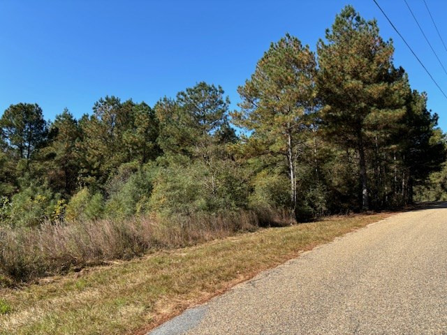 Tbd Tommy Rushing Road Tylertown, MS 39667 - Photo 5 of 15 Photo 5