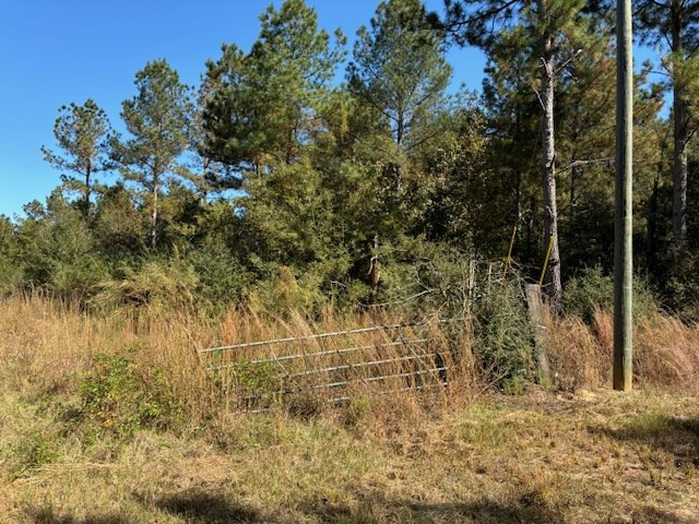 Tbd Tommy Rushing Road Tylertown, MS 39667 - Photo 8 of 15 Photo 8