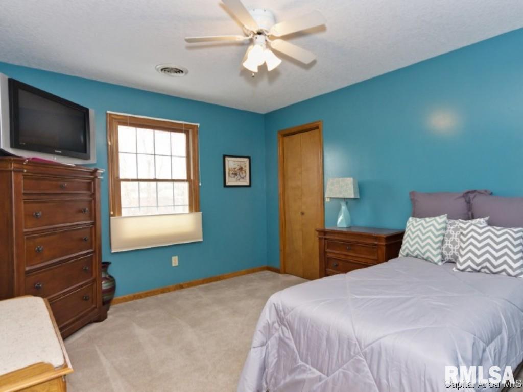 6928 Fringetree Way Springfield, IL 62712 - Photo 15 of 36
