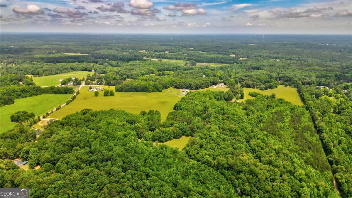 48.04-acres Caldwell Road Zebulon, GA 30295 - Photo 15 of 23 a view of a city with an ocean