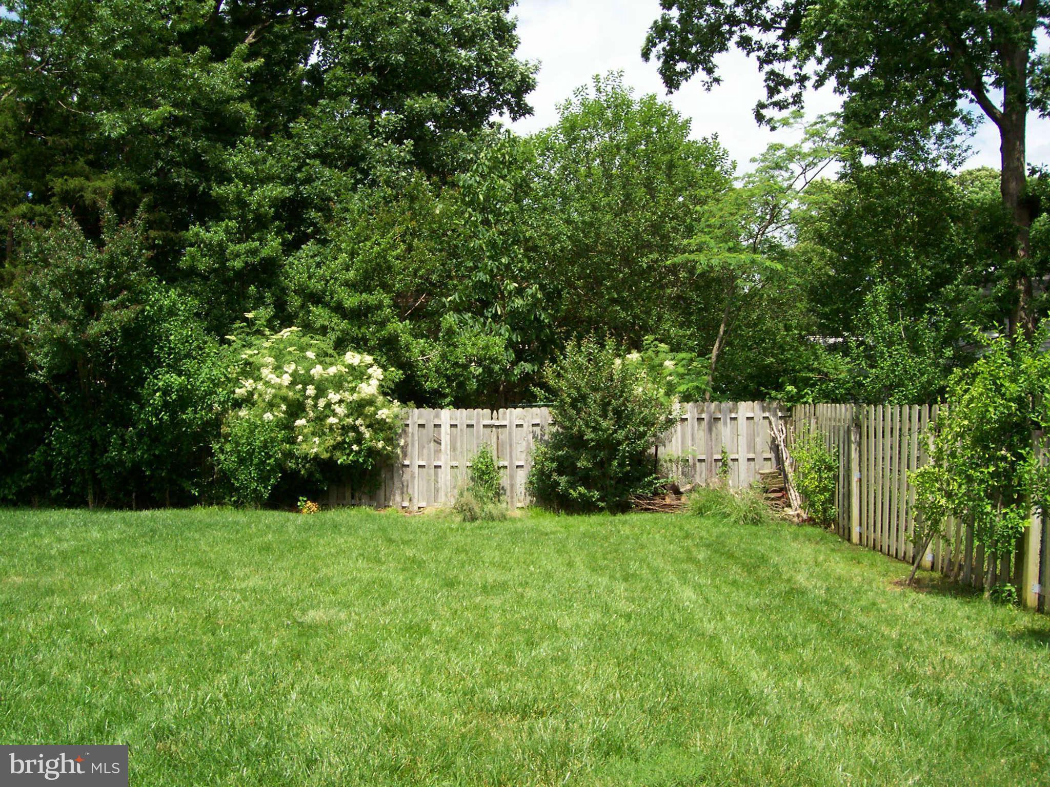 5527 Rolling Road Springfield, VA 22151 - Photo 14 of 27 a view of a back yard
