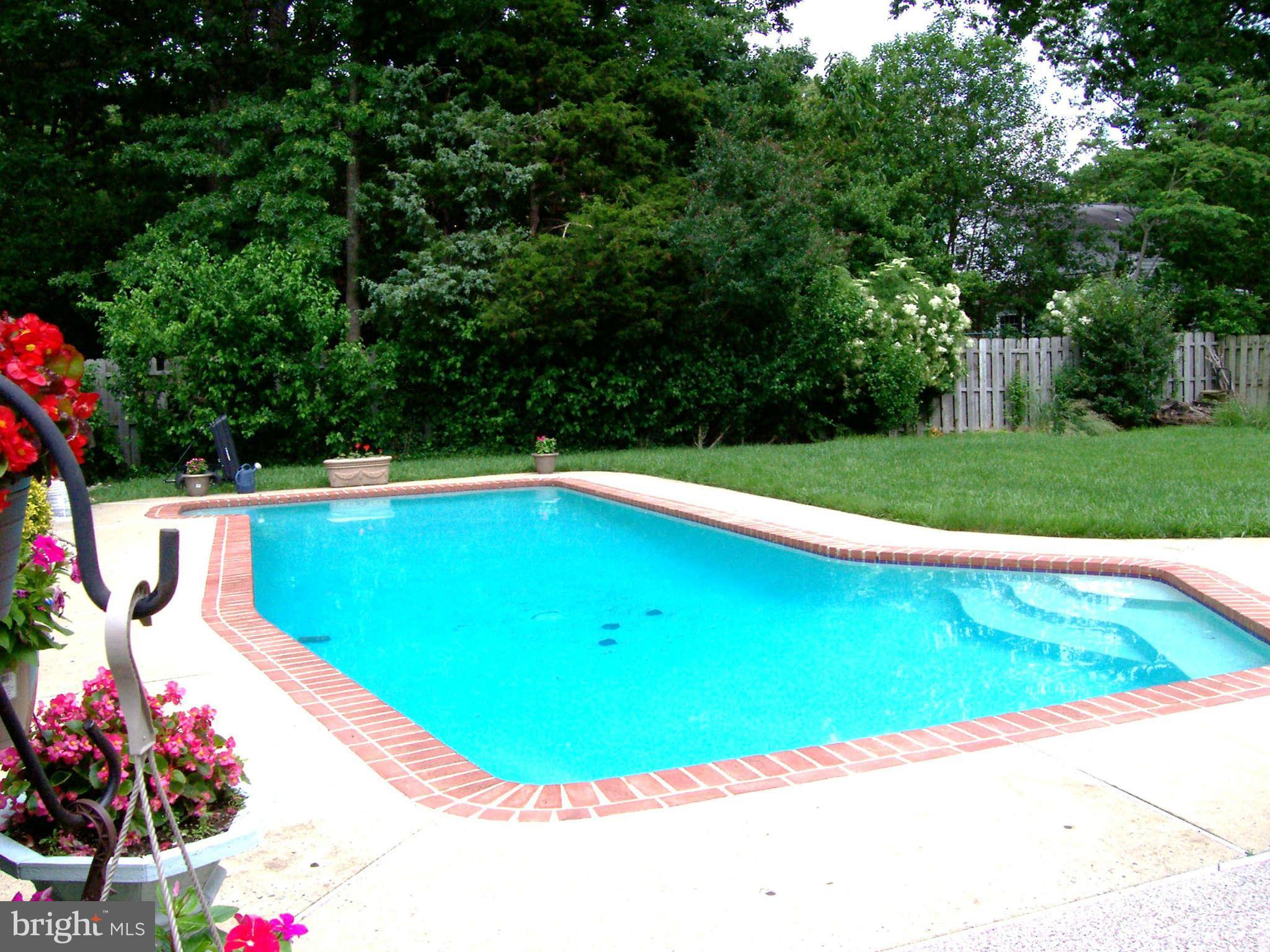 5527 Rolling Road Springfield, VA 22151 - Photo 8 of 27 a view of a swimming pool with a yard and plants