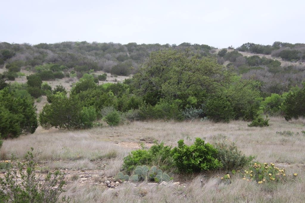 2122 Cr 450 Rocksprings Tx 78880 Rocksprings, TX 78880 - Photo 7 of 9