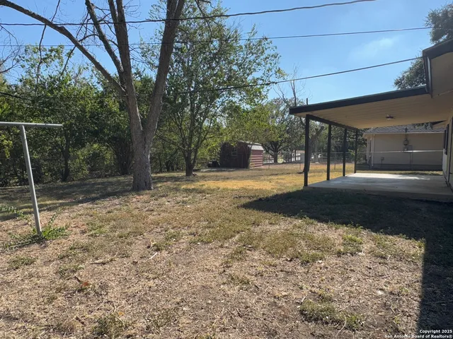 a view of a yard with a tree