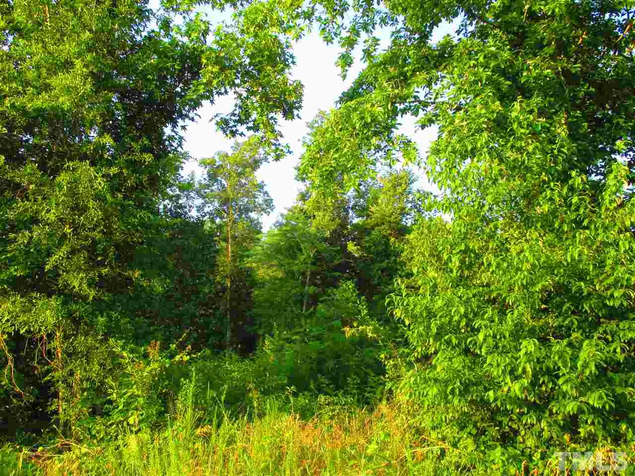 1120 Roberts Chapel Road, Unit 3521 RANGE ROAD Stem, NC 27581 - Photo 6 of 9