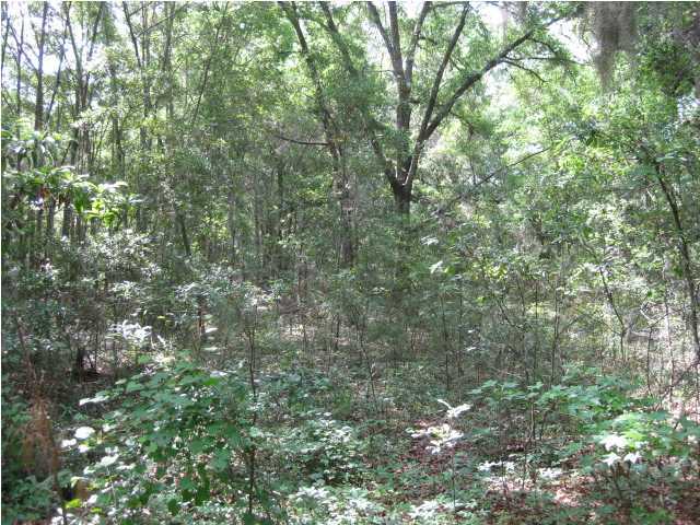 8315 Shell House Road Edisto Island, SC 29438 - Photo 1 of 4 Primary Photo