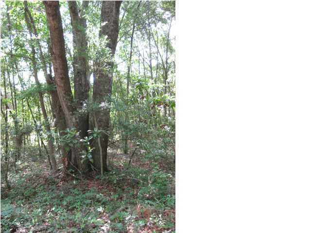 8315 Shell House Road Edisto Island, SC 29438 - Photo 2 of 4 Additional Photo