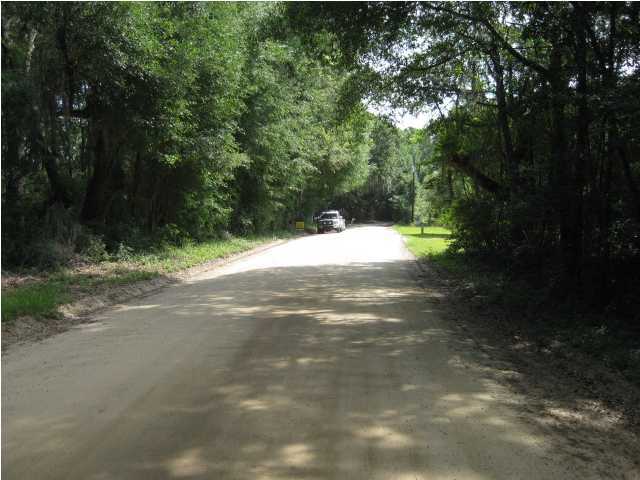 8315 Shell House Road Edisto Island, SC 29438 - Photo 3 of 4 Additional Photo