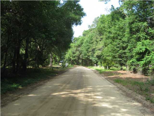 8315 Shell House Road Edisto Island, SC 29438 - Photo 4 of 4 Additional Photo