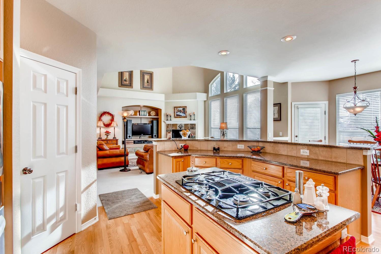 9717 Sylvestor Road Highlands Ranch, CO 80129 - Photo 13 of 28 Gallery Image 13