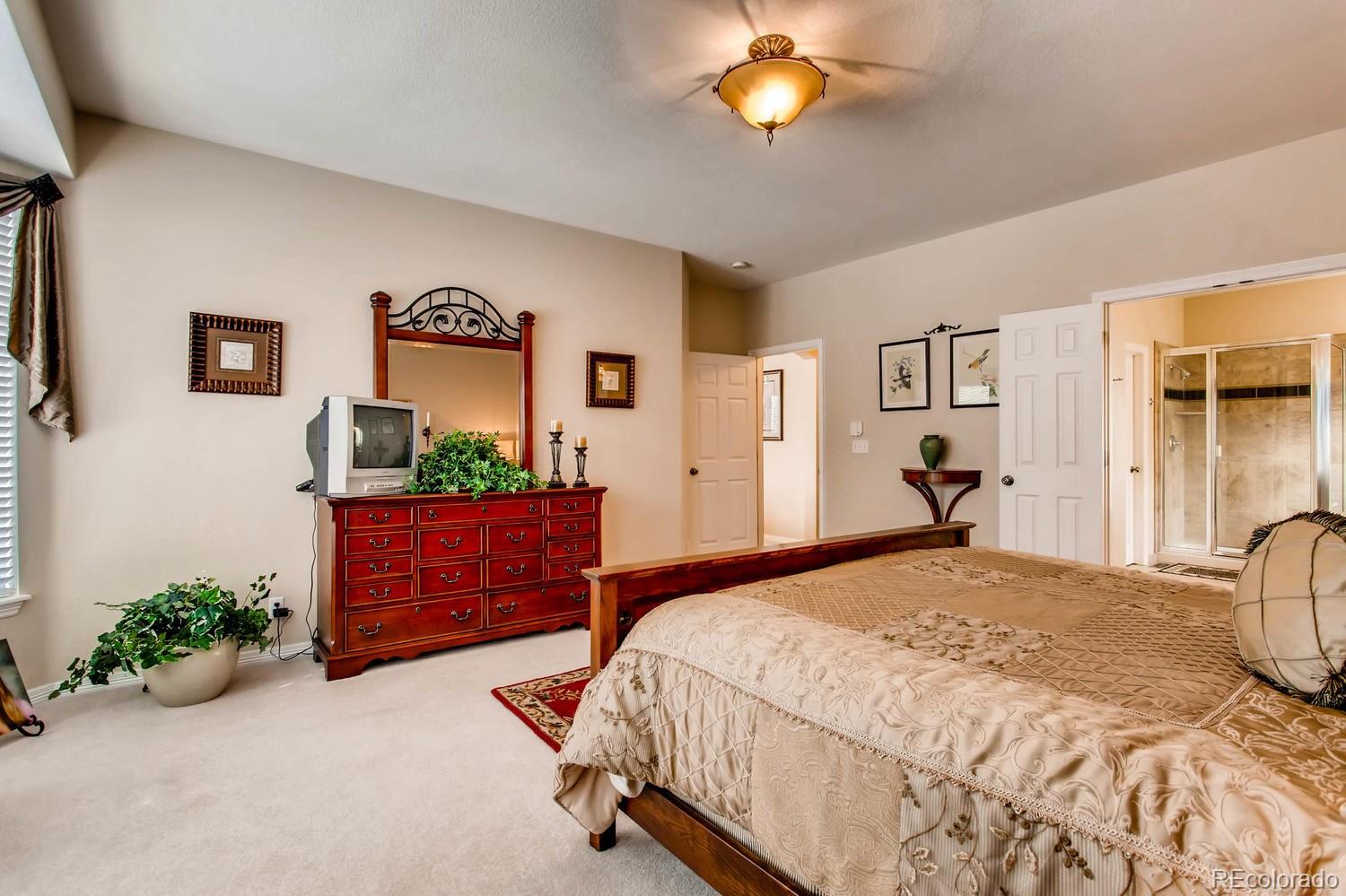 9717 Sylvestor Road Highlands Ranch, CO 80129 - Photo 17 of 28 Gallery Image 17
